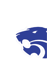 A stylized blue graphic of a bird's head with a fierce expression facing right. Descripci n generada con IA
