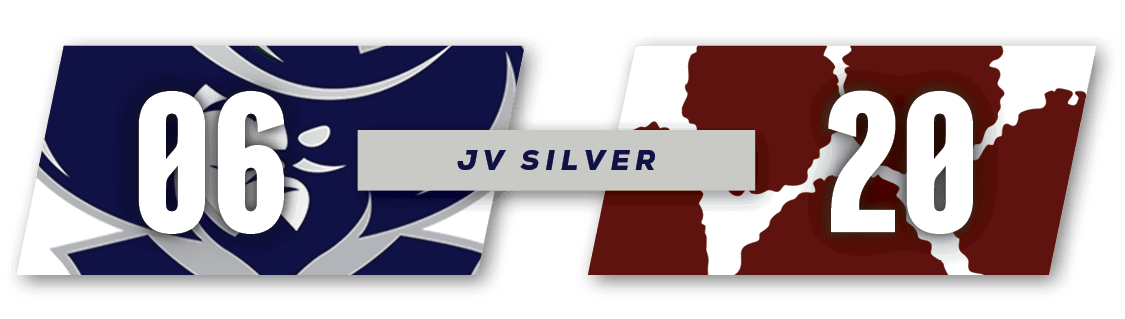 20,06,JV SILVE