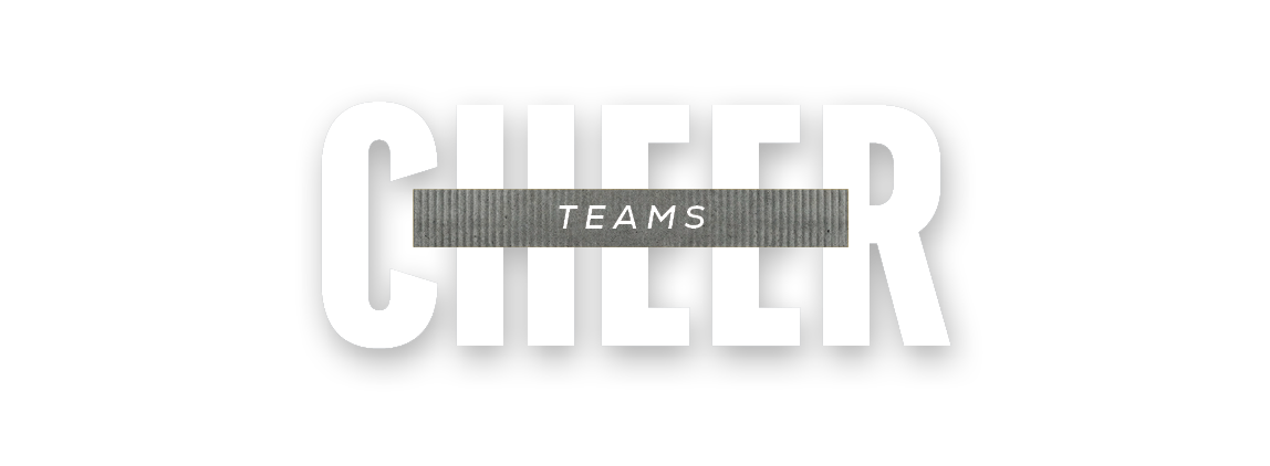 TEAMS,chee