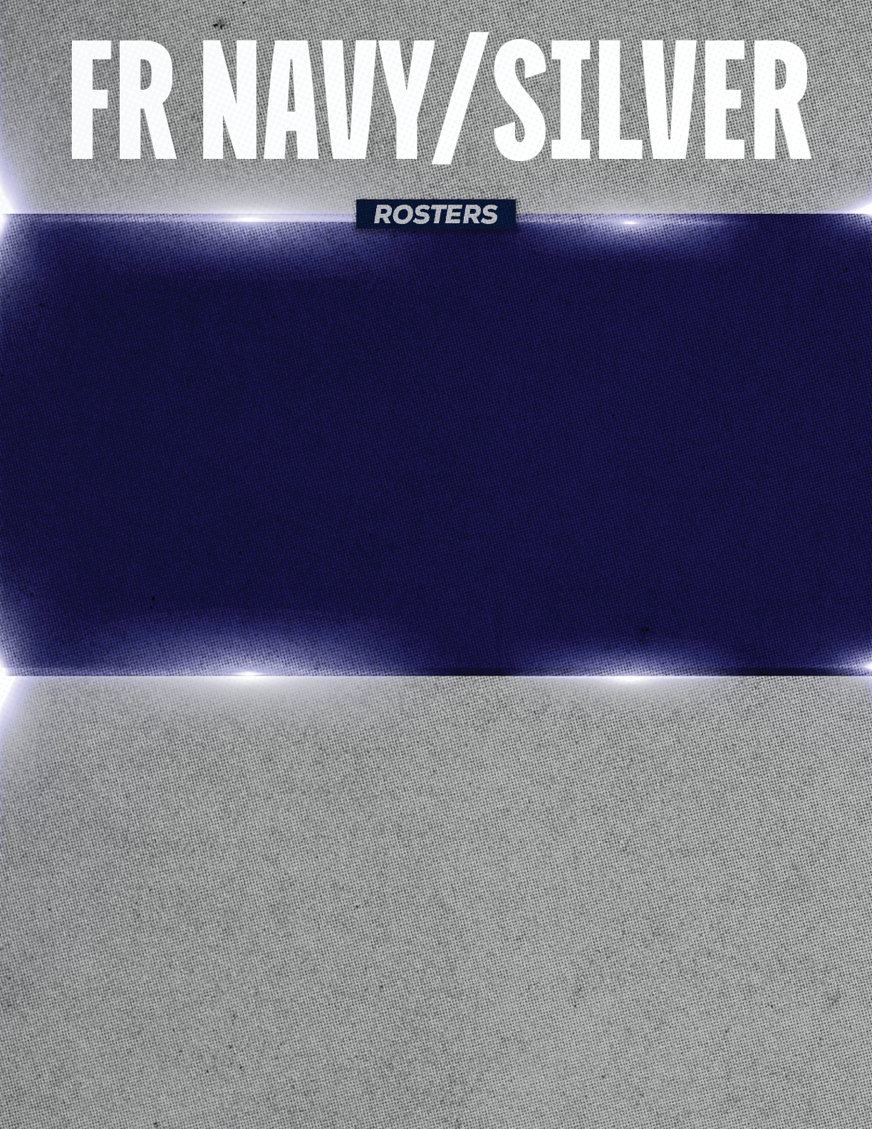 A graphic design featuring a navy blue and silver color block with the text “FR NAVY/SILVER" and a small label reading "ROSTERS" in a bold, textured font. Descripci n generada con IA