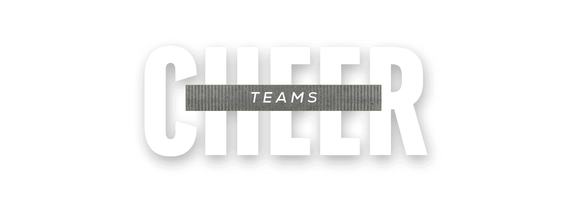 TEAMS,chee