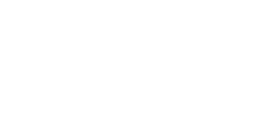 293