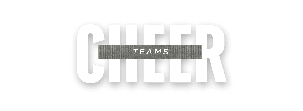 TEAMS,chee