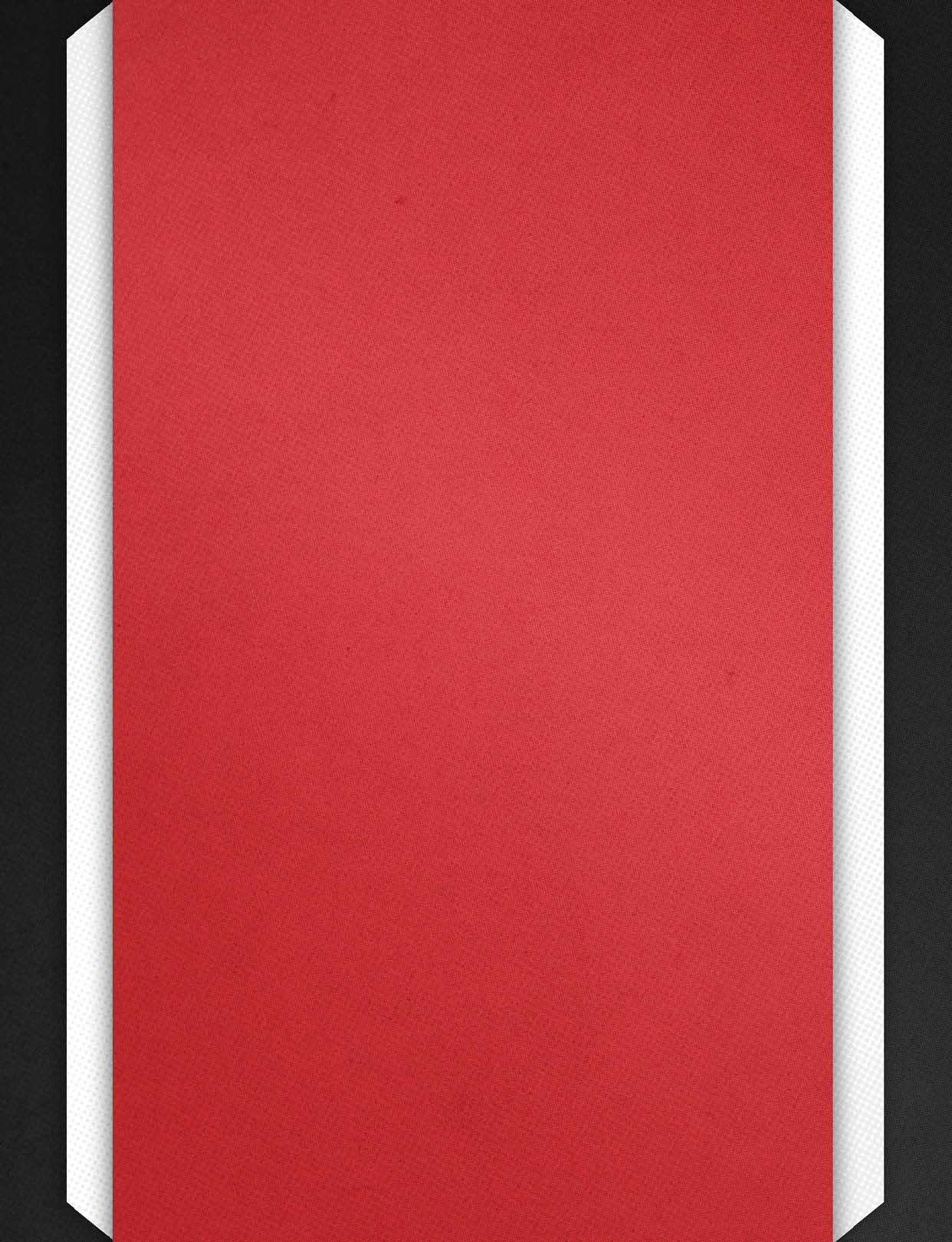 A vertical red rectangle with white and black angled borders on the sides. Description generated by AI