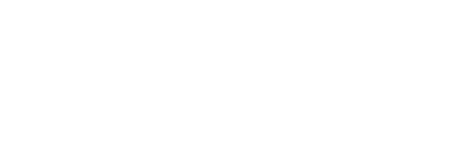 meet the team