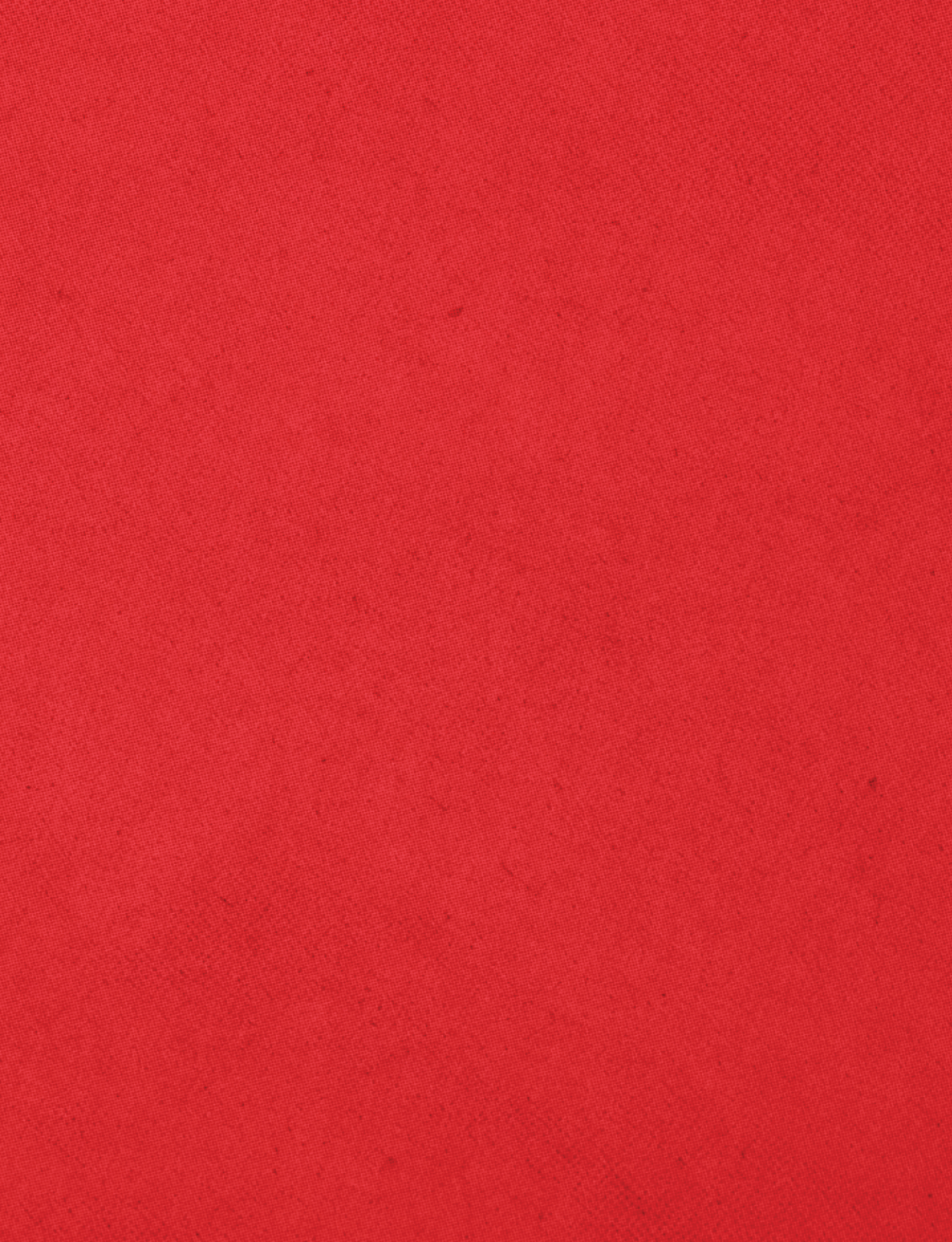 A red cloth with a red border. Description generated by AI