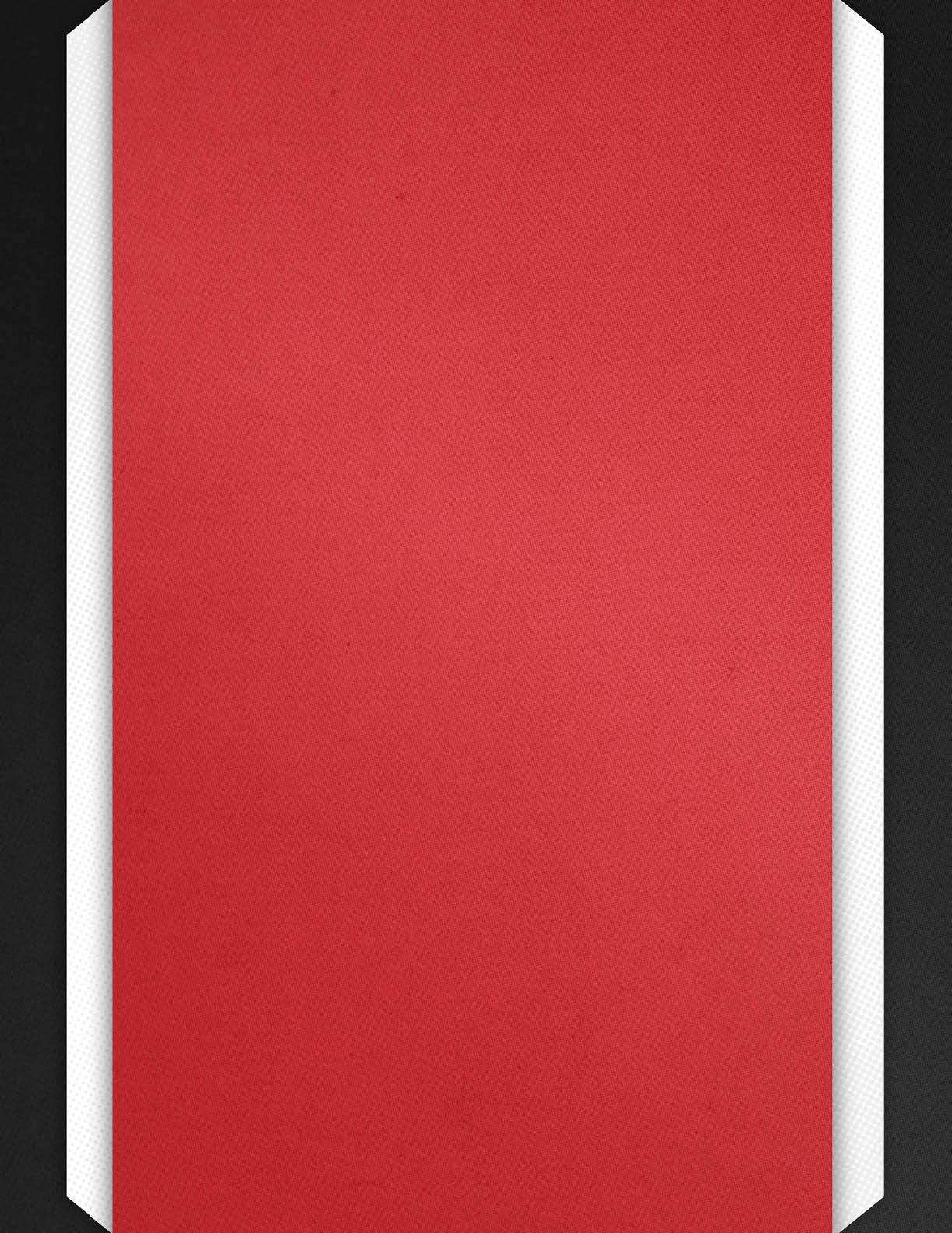 A vertical red rectangle with white and black angled borders on the sides. Description generated by AI