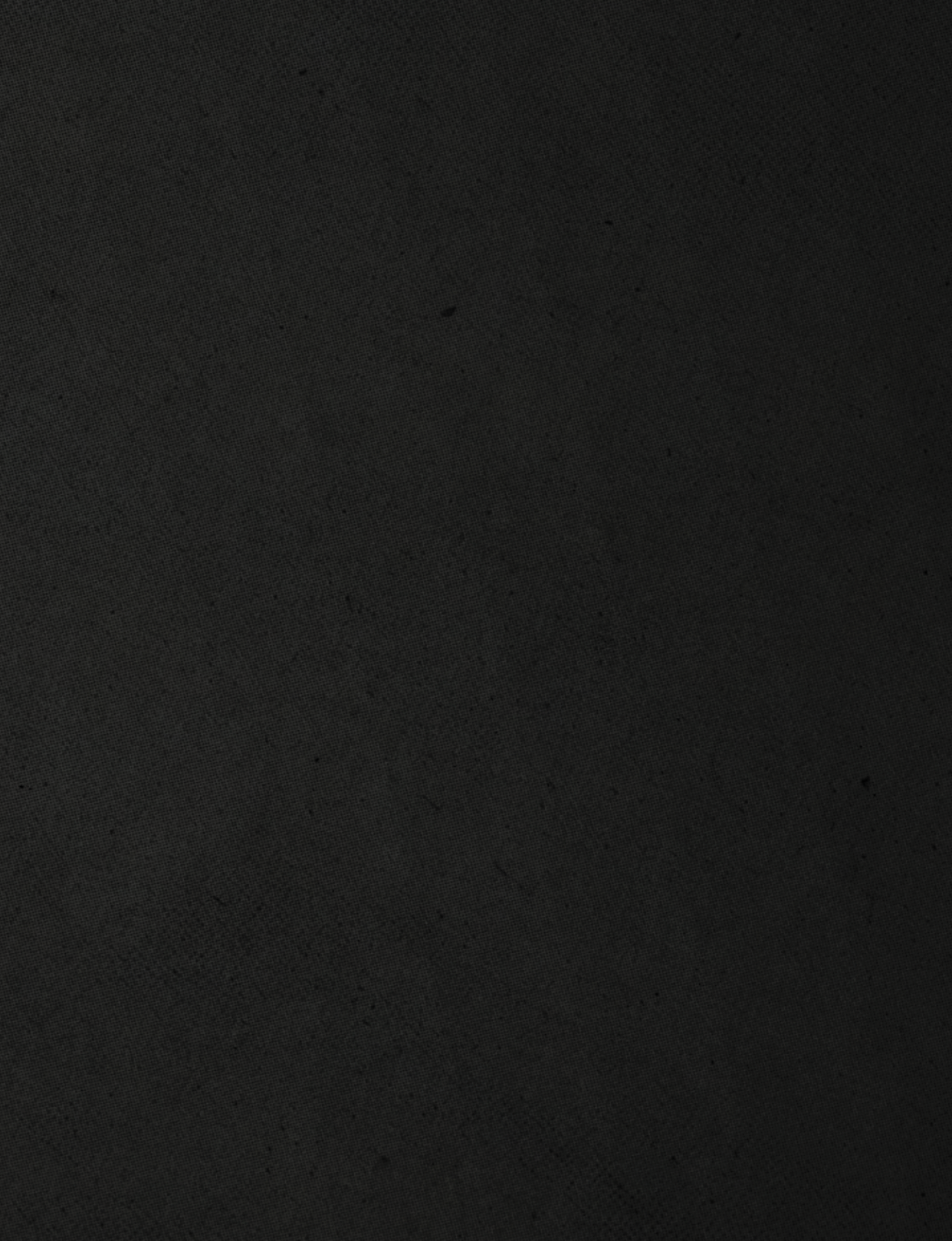 A black and red striped cloth. Description generated by AI