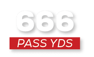 pass YDS,66