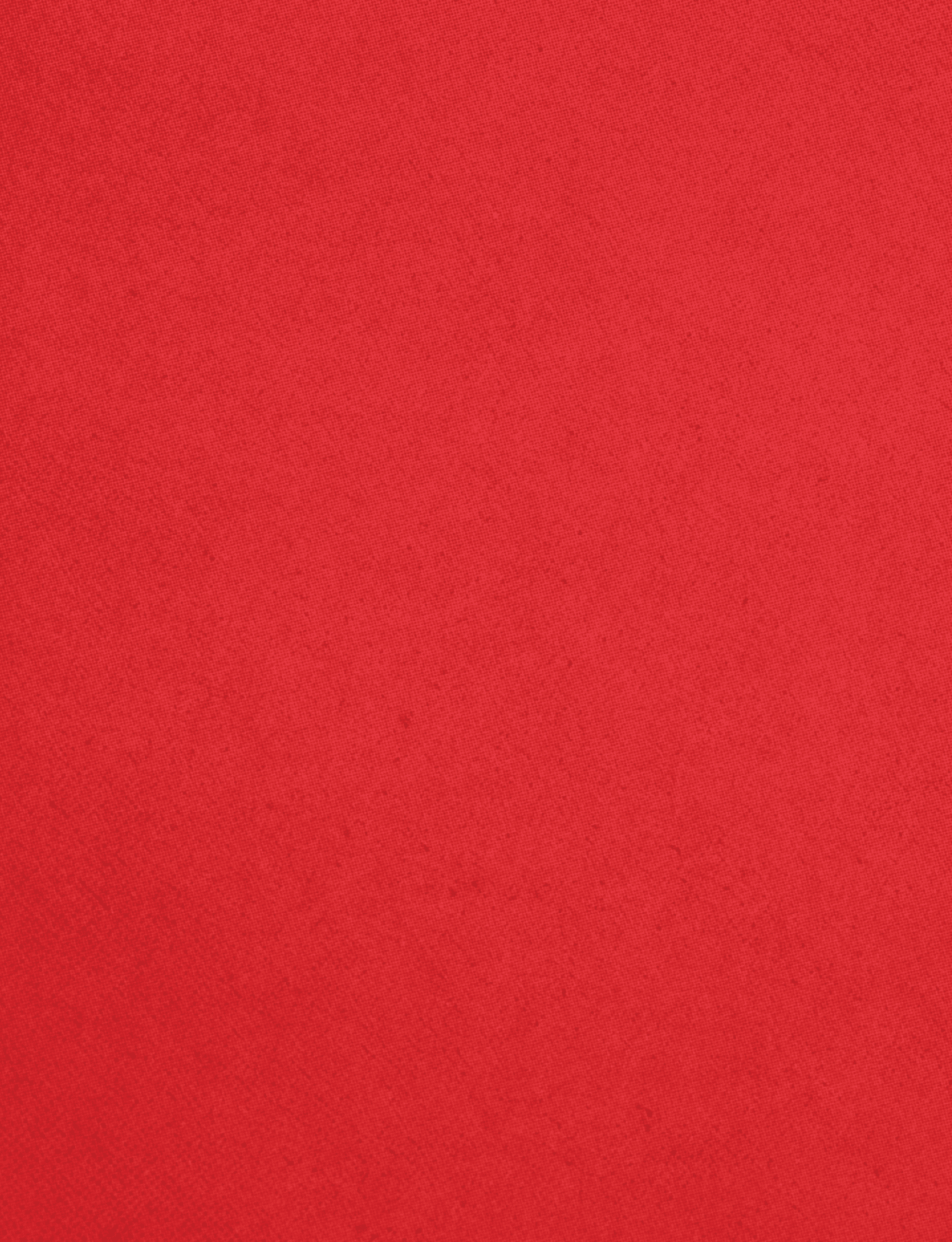 A red cloth with a red border. Description generated by AI