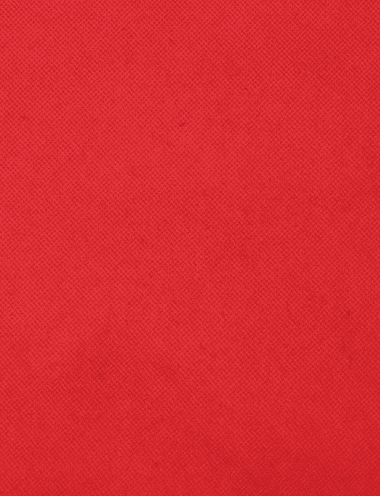 A red cloth with a red border. Description generated by AI