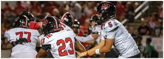 People in football uniforms are engaged in a play on a field with one person preparing to hand off the ball to another. Description generated by AI