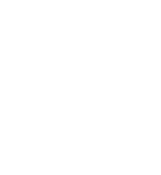 rush yds,12