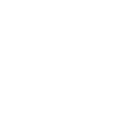 pass yds,29