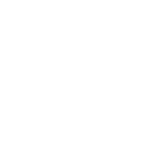 pass yds,29