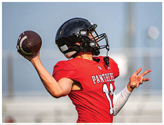 A person wearing a dark helmet and a dark sports jersey is playing football on a clear day. Description generated by AI