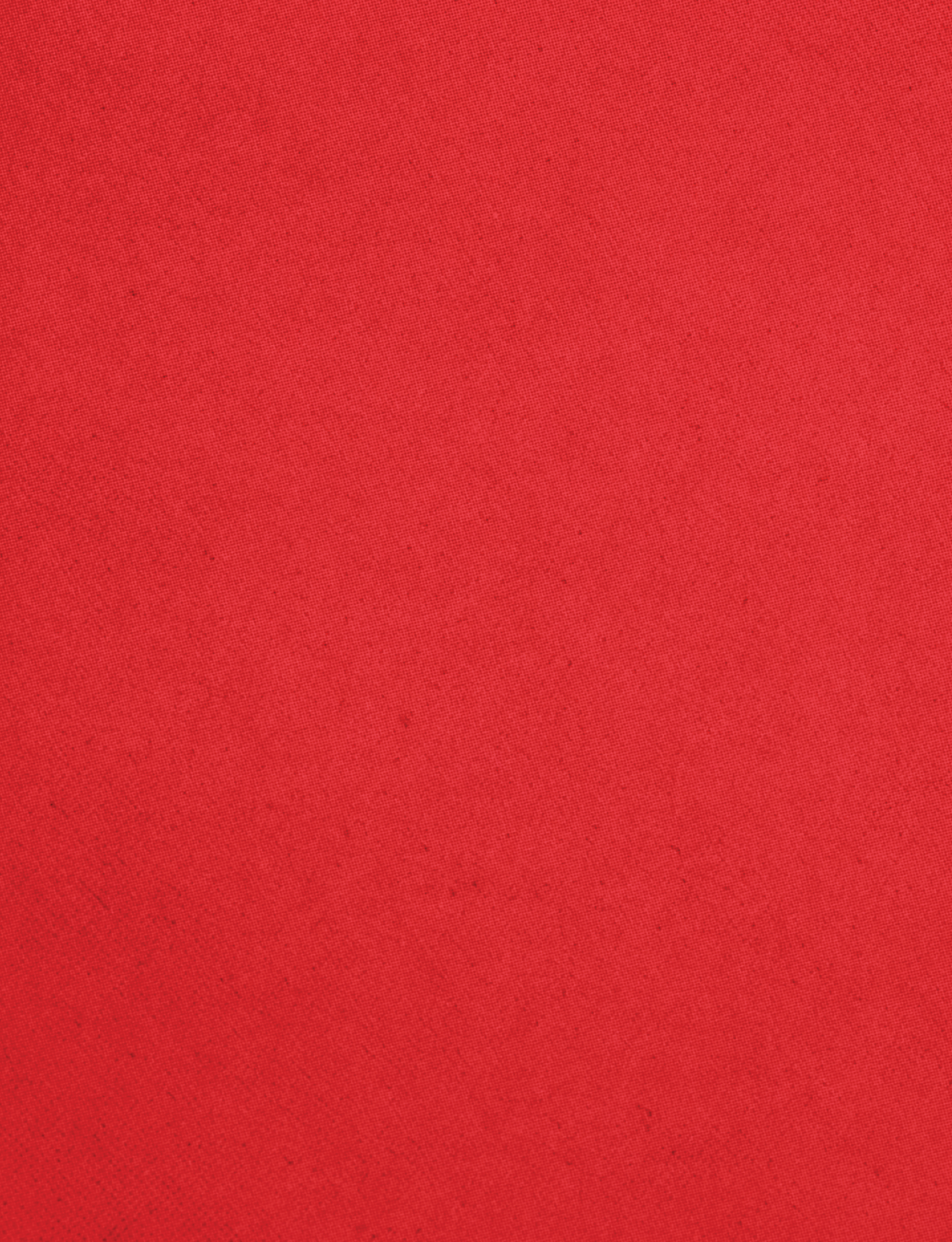A red cloth with a red border. Description generated by AI