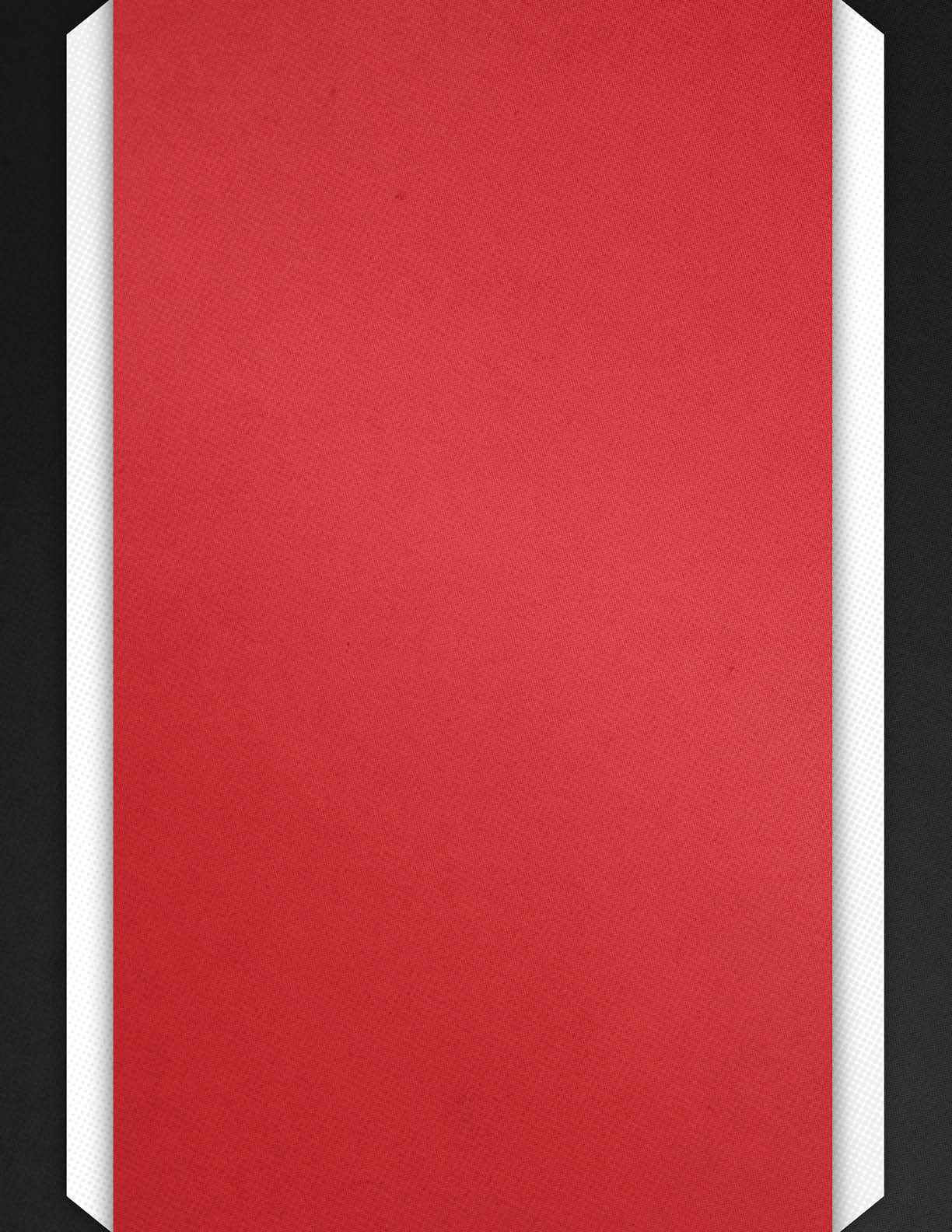 A vertical red rectangle with white and black angled borders on the sides. Description generated by AI