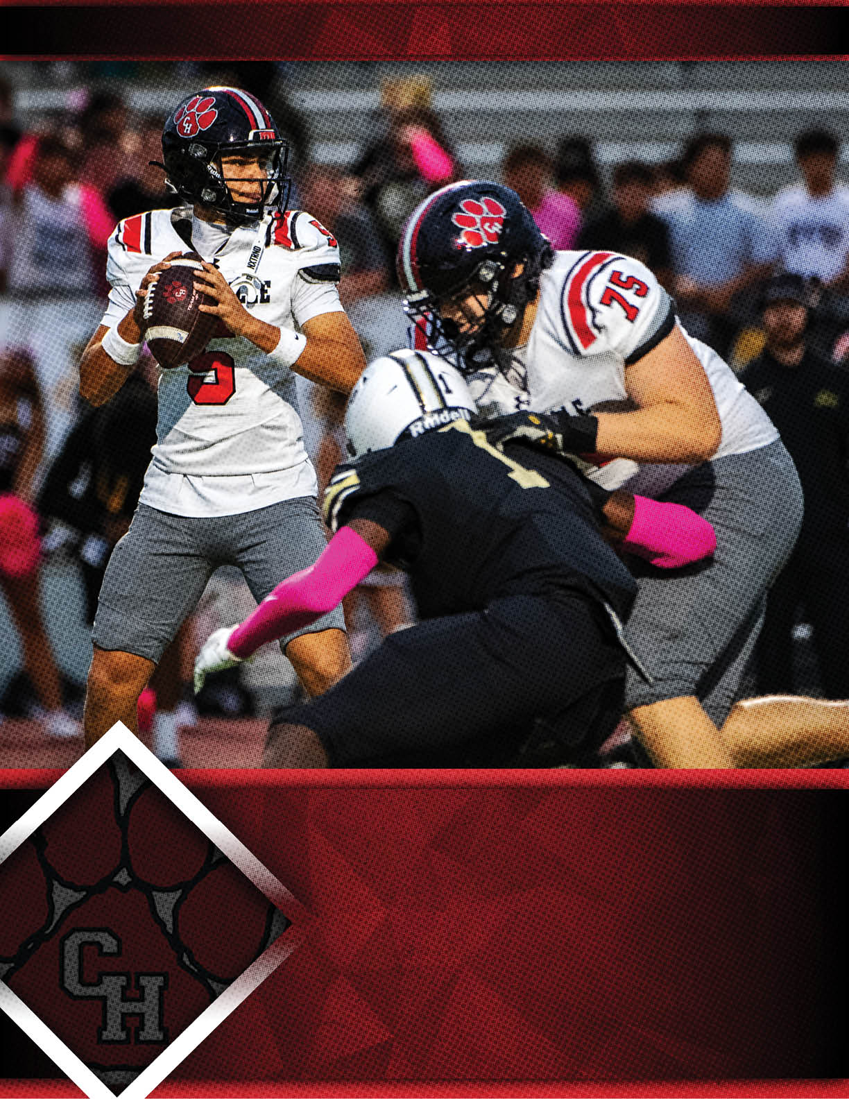 A person in a white and gray football uniform prepares to throw a football while another person in a similar uniform blocks an opponent in black with pink sleeves during a game. Description generated by AI