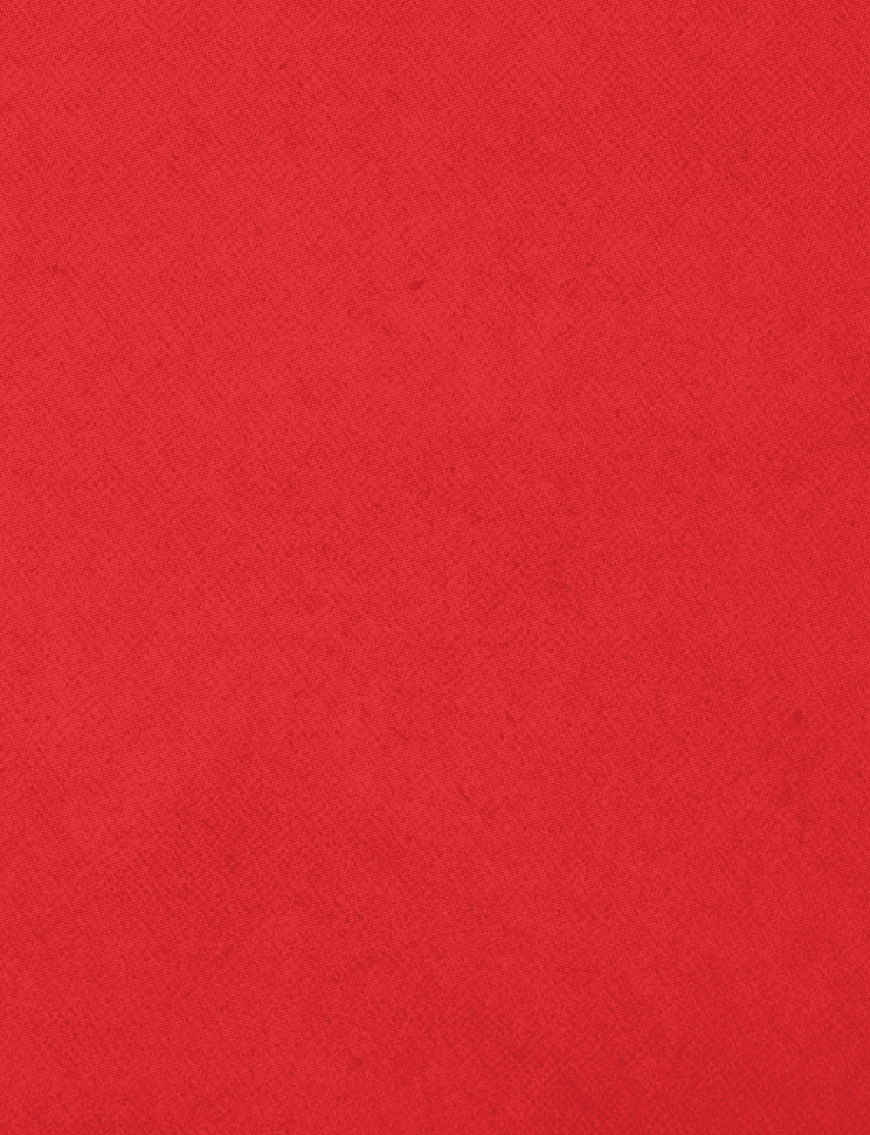 A red cloth with a red border. Description generated by AI