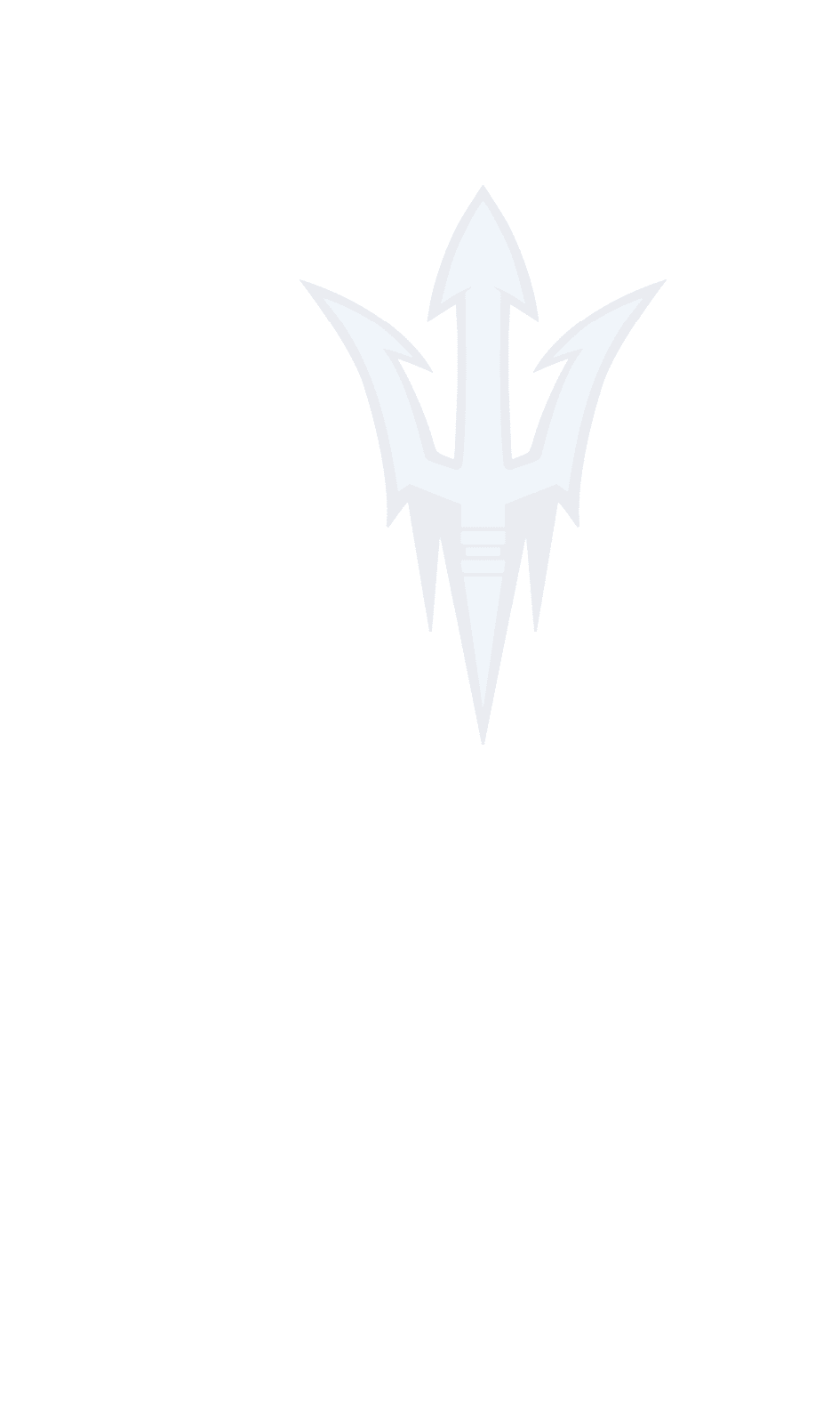A logo for Dons football. Description generated by AI