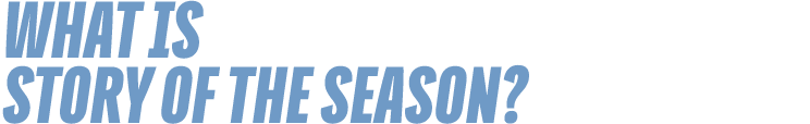What is Story of the Season?