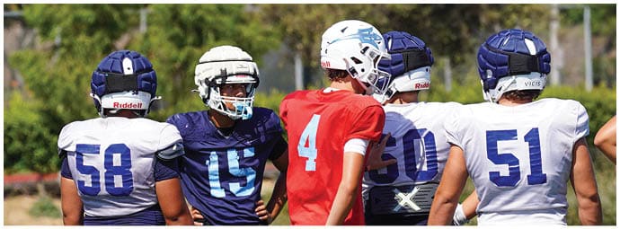 A football player wearing a blue and white uniform. Description generated by AI