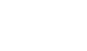 LA TIMES DAILY PILOT