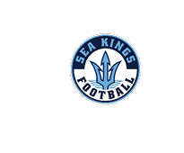 A blue and red logo of a lion. Description generated by AI