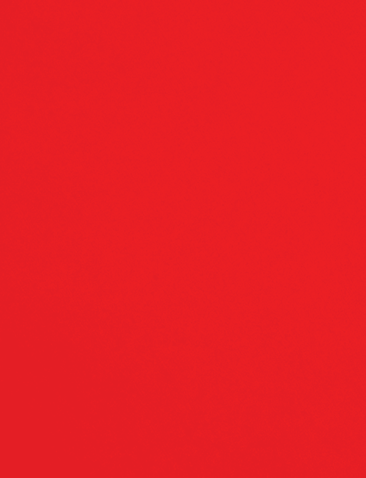 A red cloth with a red border. Description generated by AI