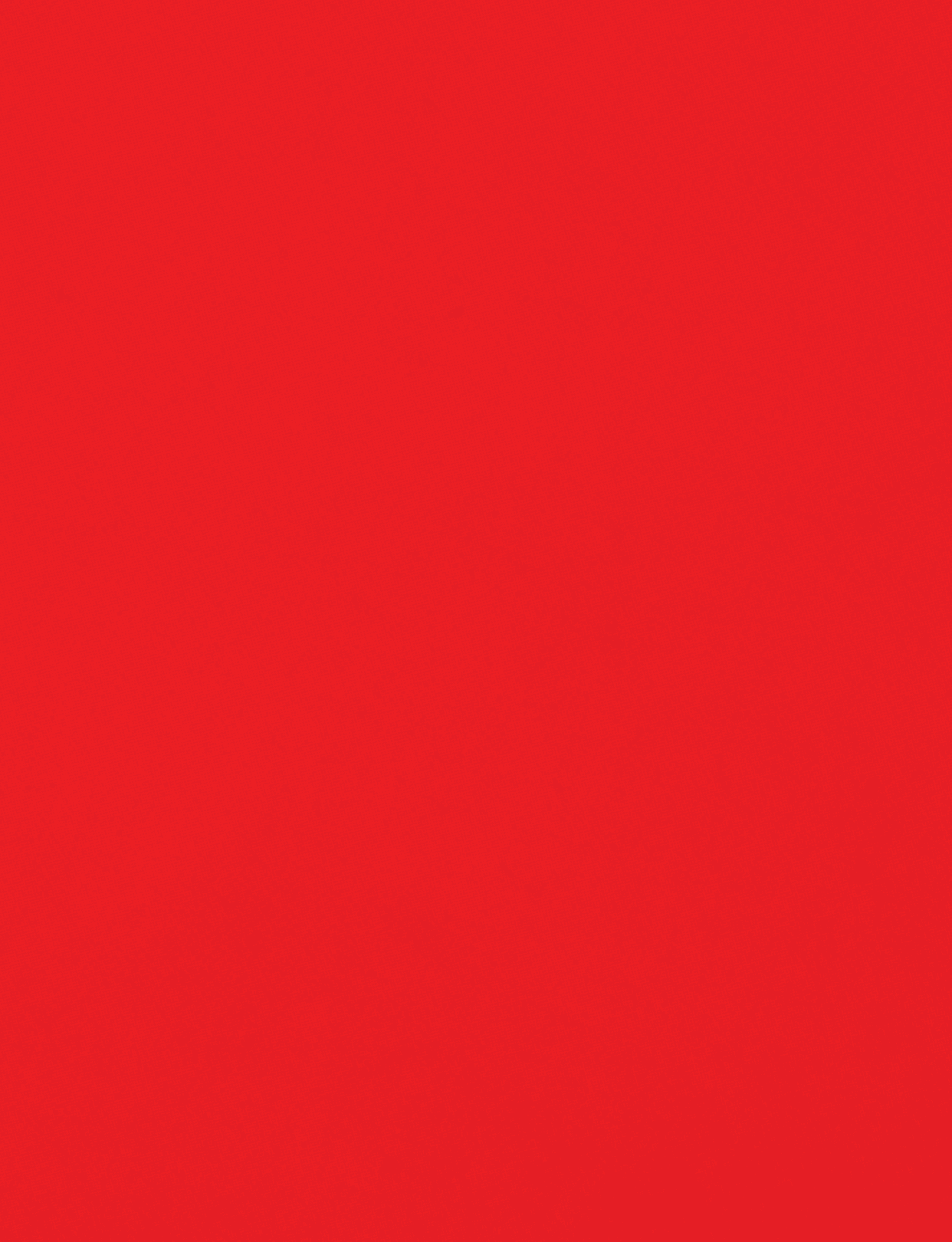 A red cloth with a red border. Description generated by AI