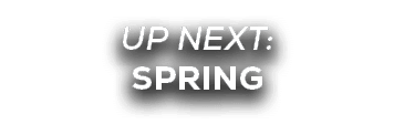 UP NEXT: spring