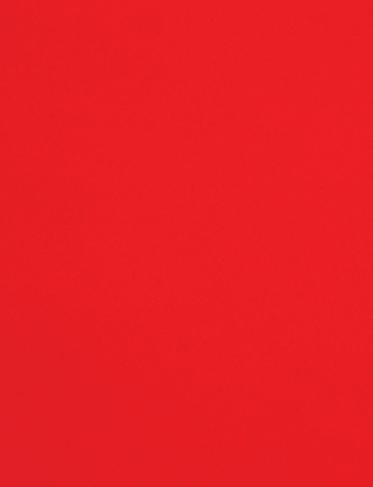 A red cloth with a red border. Description generated by AI