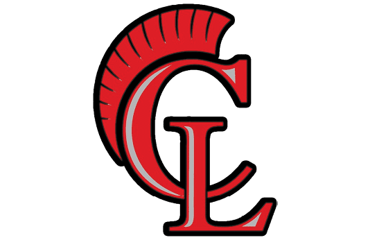 A red and black bird with a yellow beak. Description generated by AI