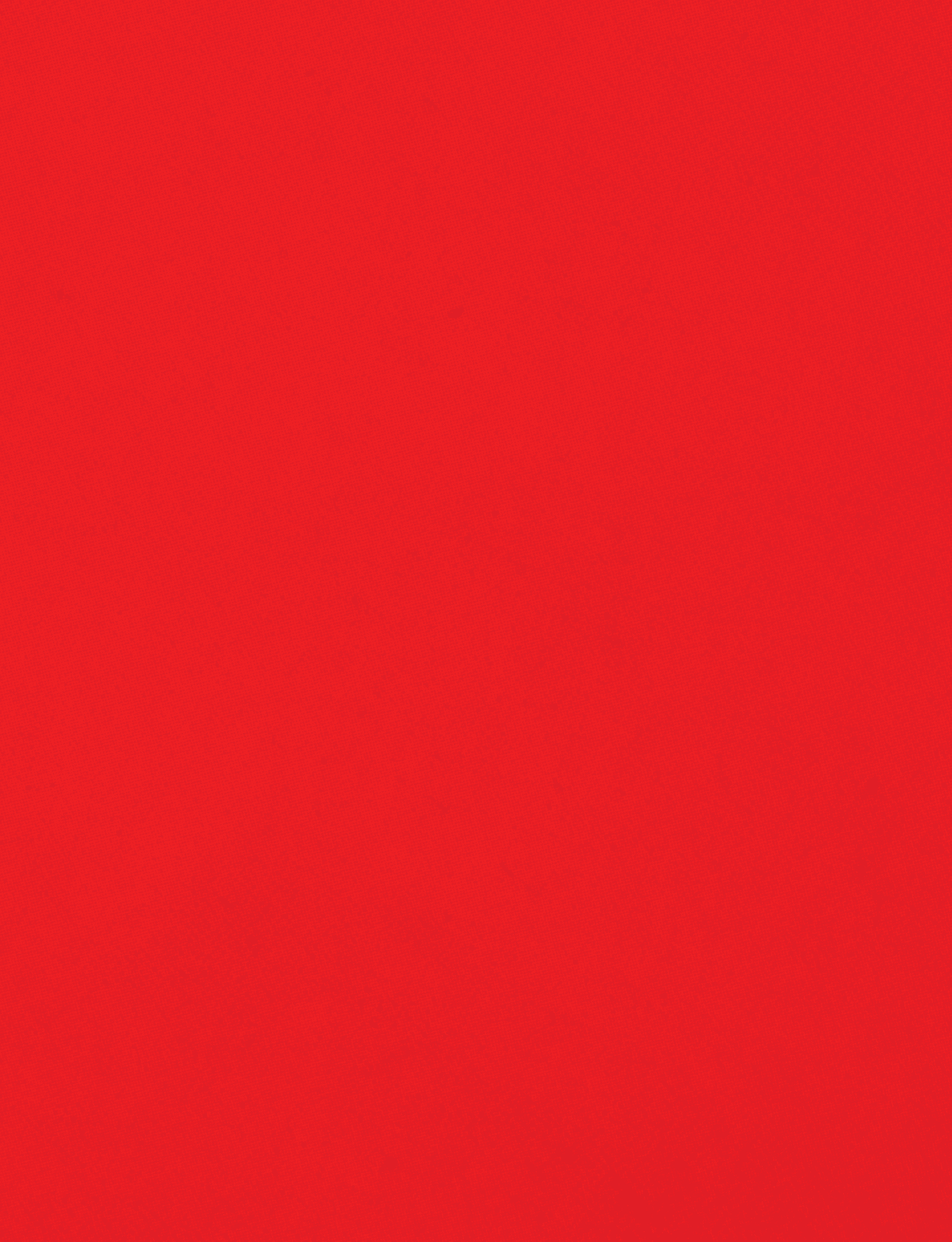 A red cloth with a red border. Description generated by AI