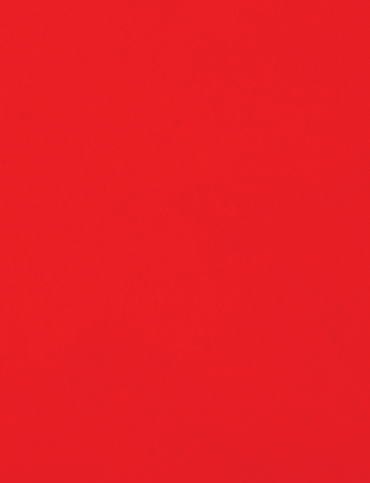 A red cloth with a red border. Description generated by AI