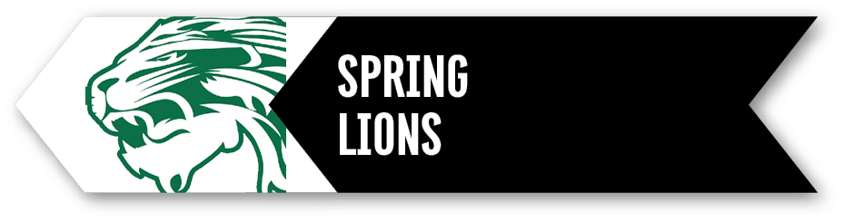 spring lion