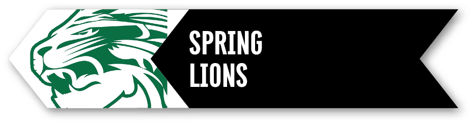 spring lion