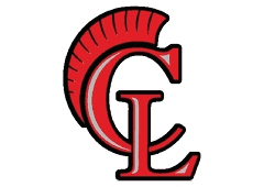 A red and yellow bird with a black beak. Description generated by AI