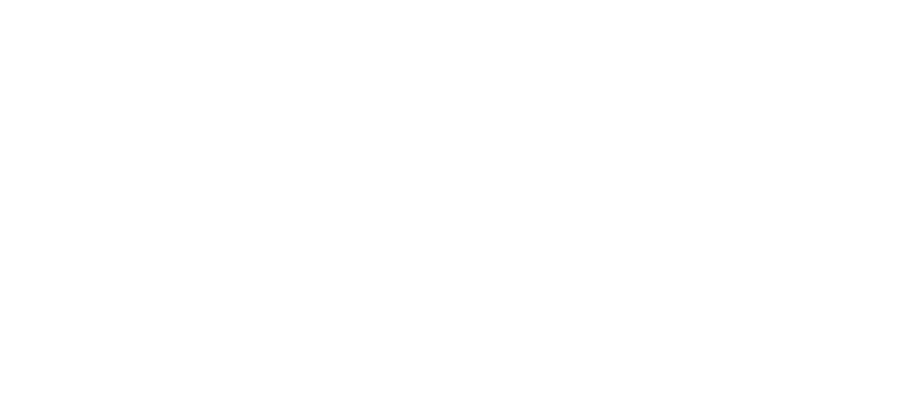 Phillip Folmar University at Buffalo Peter Donini University of Michigan Troy Bailey College of the Holy Cross Luca L...