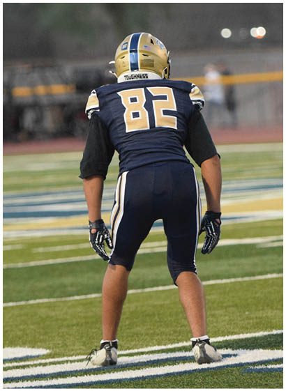 Two football players on a field, one wearing a blue jersey with the number 82. AI generated content