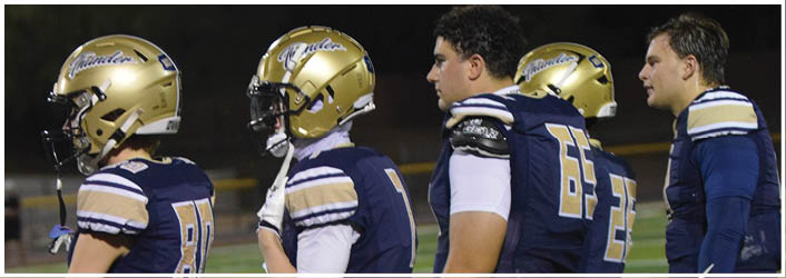 Four football players wearing blue and gold uniforms stand on a field. AI generated content