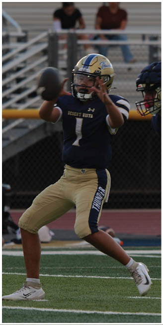 Three people in football uniforms are on a field with one person preparing to throw a football while the others are positioned to receive or block. Description generated by AI