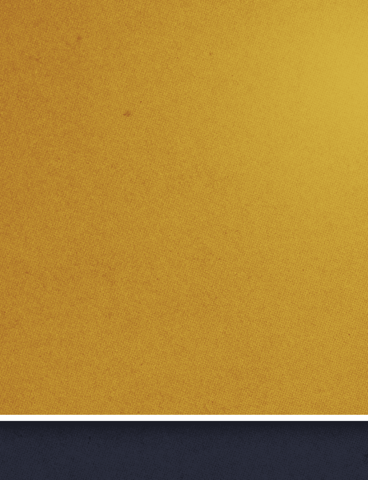 Bold white text on a dark blue and gold background partially reads “IN THE NEW." Description generated by AI