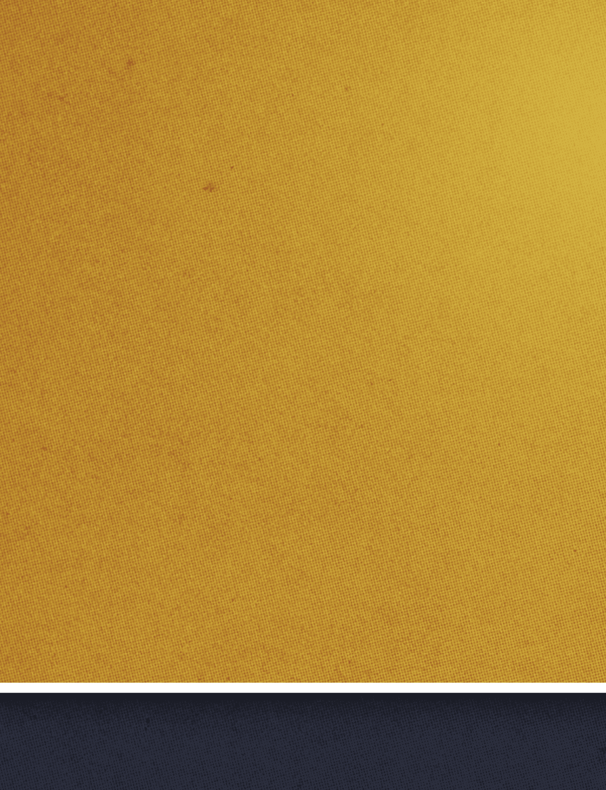 Bold white text on a dark blue and gold background partially reads “IN THE NEW." Description generated by AI