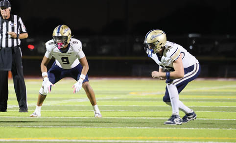 Three people in football uniforms and a referee stand on a field under stadium lights during a nighttime game. Description generated by AI