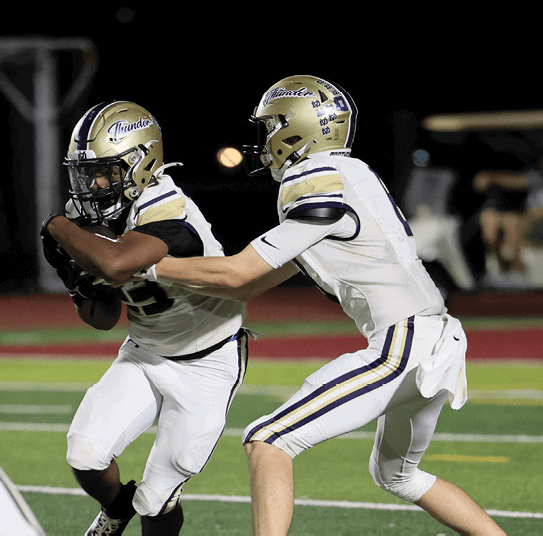 Two people in football uniforms and helmets are engaged in a play on a field with one person holding the ball and the other reaching to block or tackle. Description generated by AI