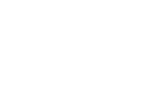 Treasurer (P ’26 & ‘30) Lauren DiMascio Merchandise (P ‘29) JoAnne Morton Merchandise Co Chair (P ‘30) Tannia Ospina 