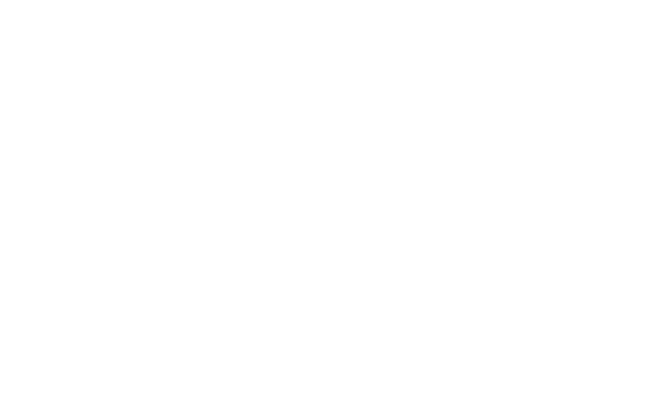 Secretary (P ‘27) Katie Ohnegian Sponsorships (P’28) Marie Schoen Freshman Parent Liaison (P’26 & ’30) Angela Russo