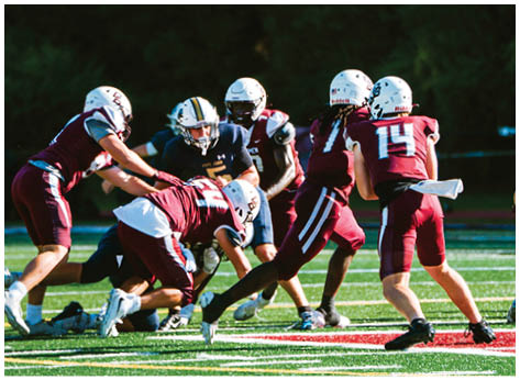 A football player wearing a blue and red jersey. Description generated by AI